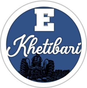 News & Update