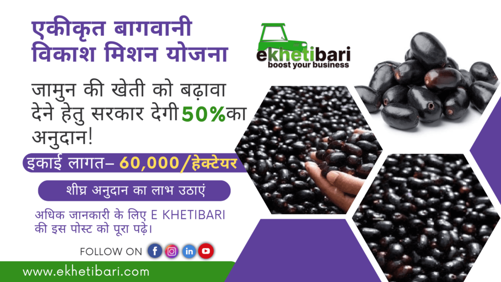 Jamun