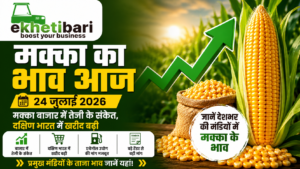 मक्का का भाव आज