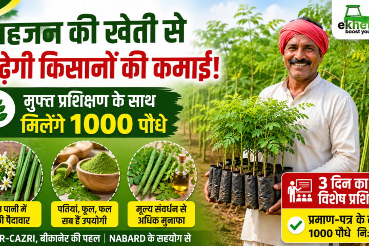 सहजन की खेती से बढ़ेगी किसानों की कमाई